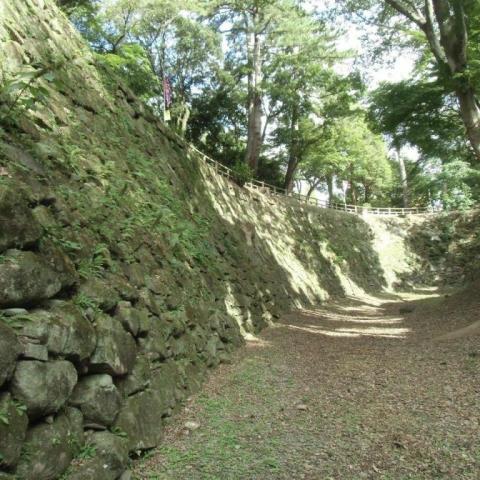 清海堀を探索しよう 2025