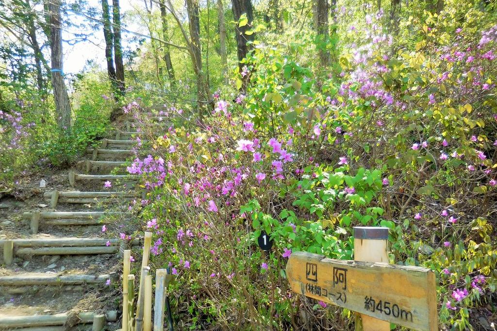 季節の草花を楽しみながら！