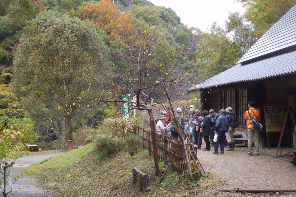 木の実と草の種の観察をしよう／森の自然観察会（西三河自然観察会）