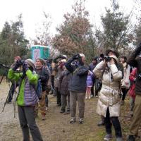 バードウォッチング／岡崎野鳥の会　【休止】