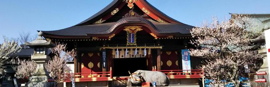 岡崎歴史語り人と行く！岡崎ぐるり早めぐりバスツアー　～冬の岡崎めぐり満喫コース