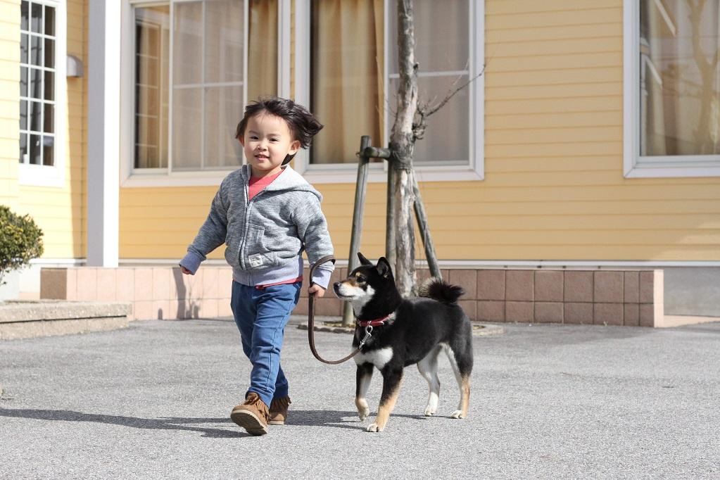 Ipcわんわん動物園 岡崎の観光スポット 岡崎おでかけナビ 岡崎市観光協会公式サイト