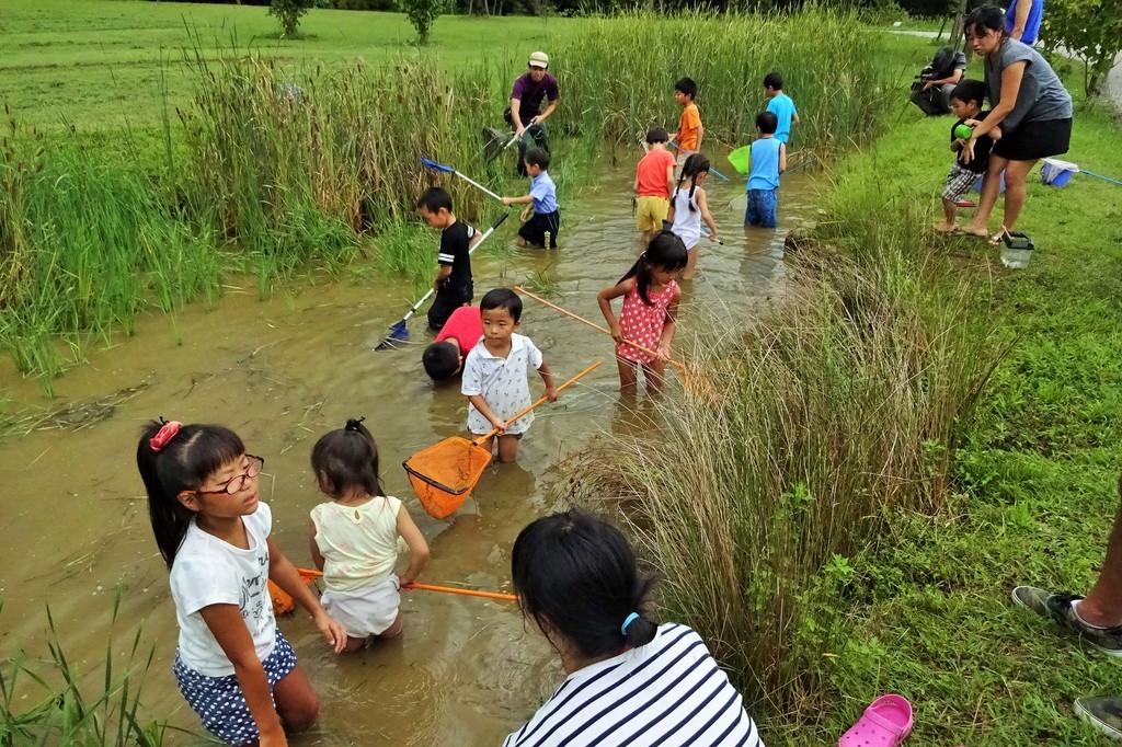 「わんぱく池」には生き物がいっぱい！