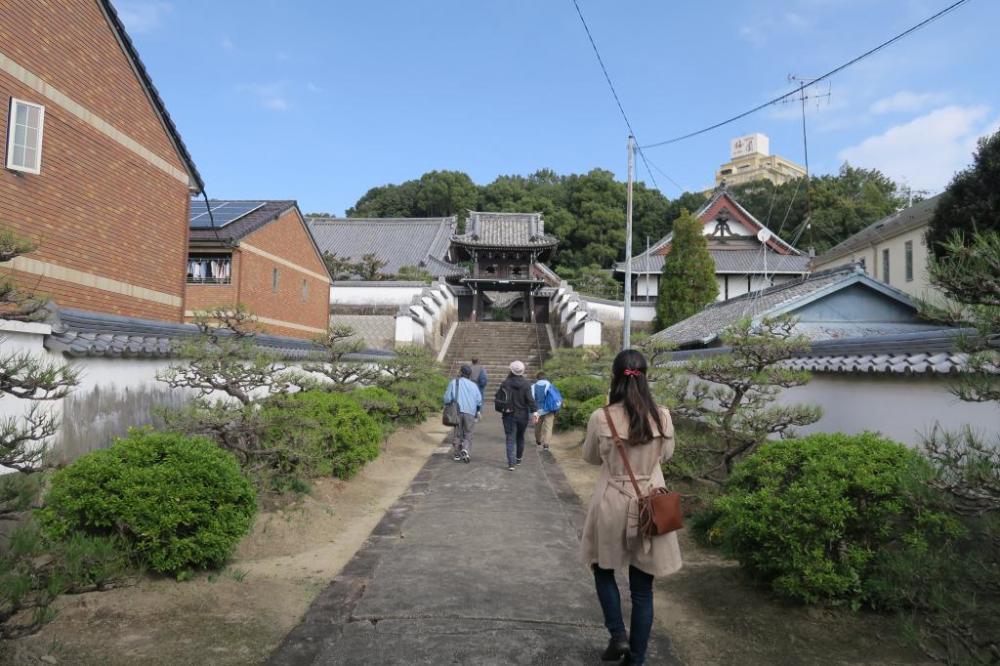 「隨念寺」 参道と寺社裏手に拡がる「ふるさとの森」