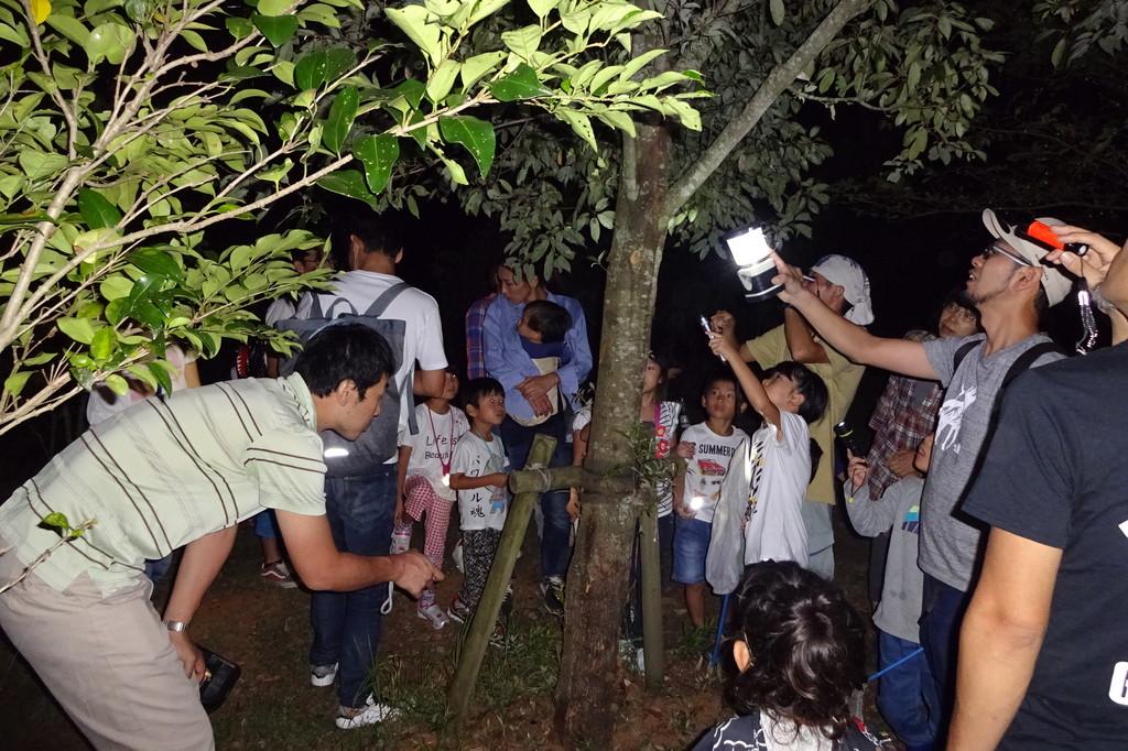 夏の夜間イベントでのワンシーン