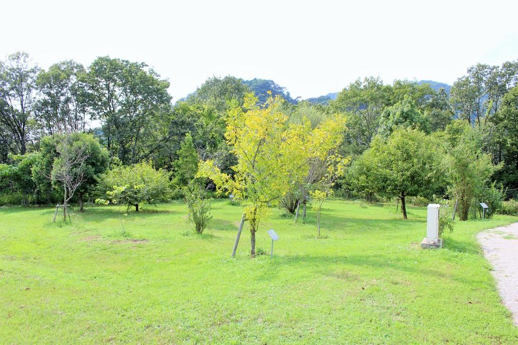 「実りの森」の全景