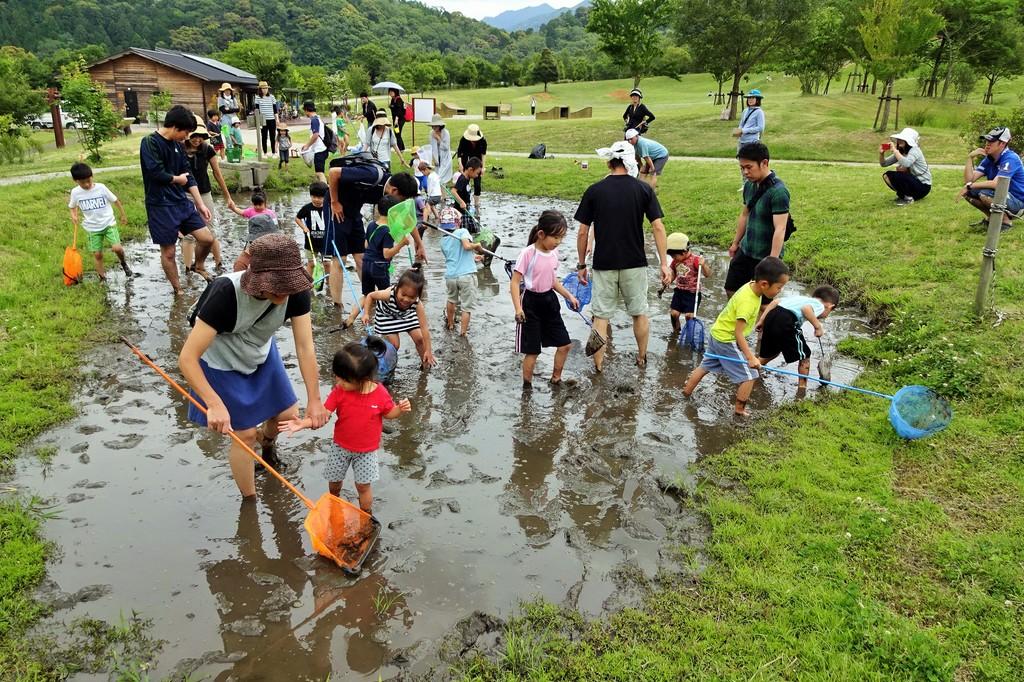 どろんこプールで生き物探し