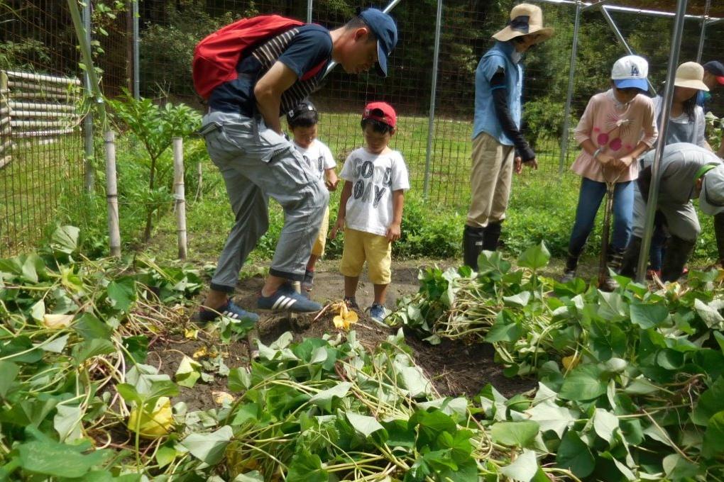 試し掘り（8月）