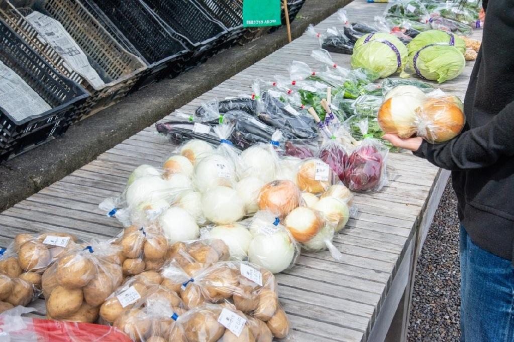 新鮮野菜の朝市（おとがワ！ンダーランド2020）
