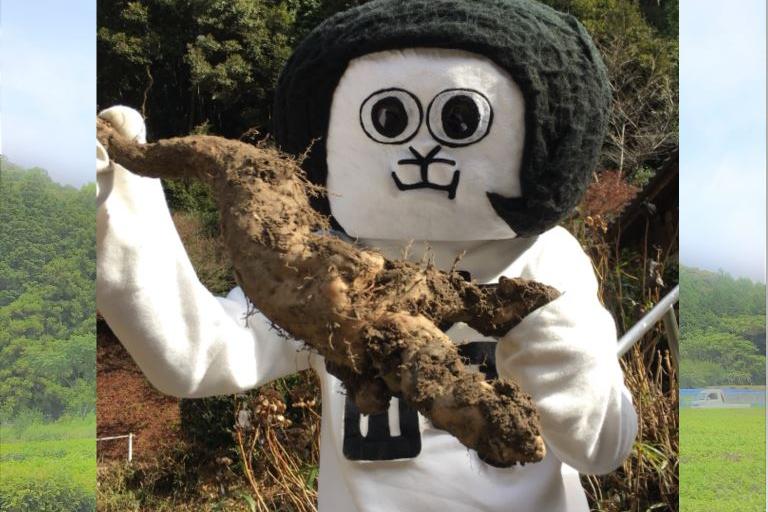 自然薯掘り体験
