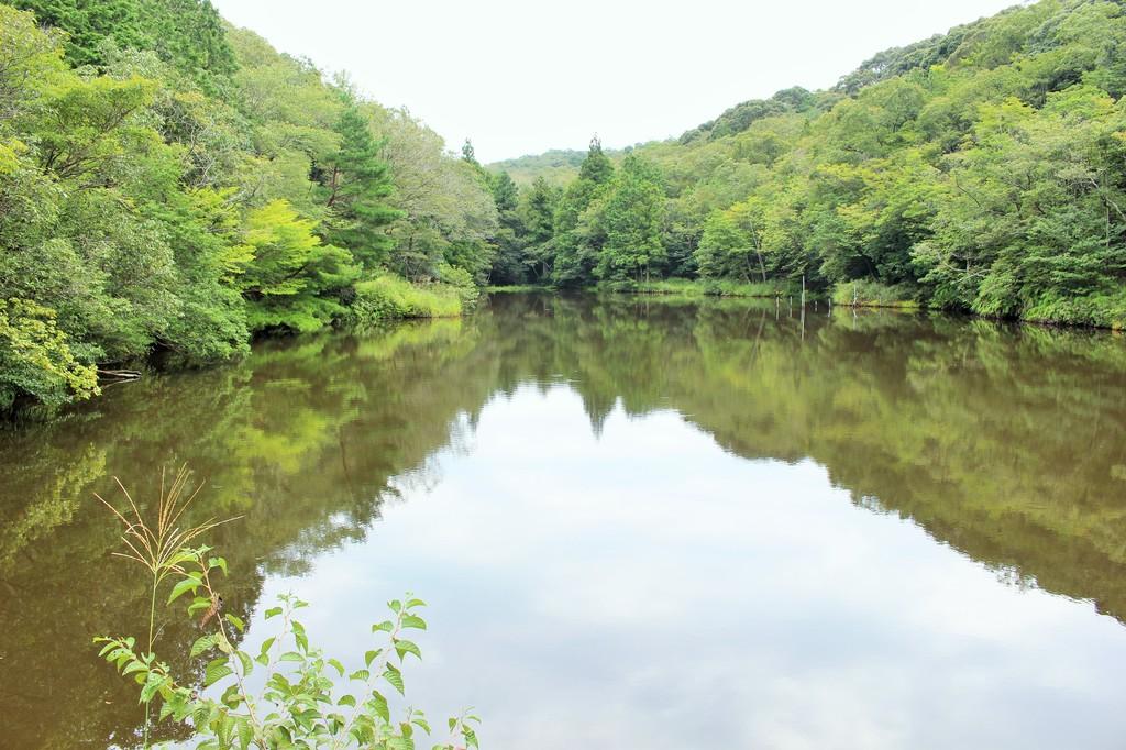 北山湿地