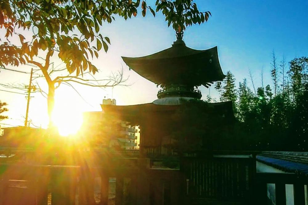 夕暮れ時の大樹時多宝塔