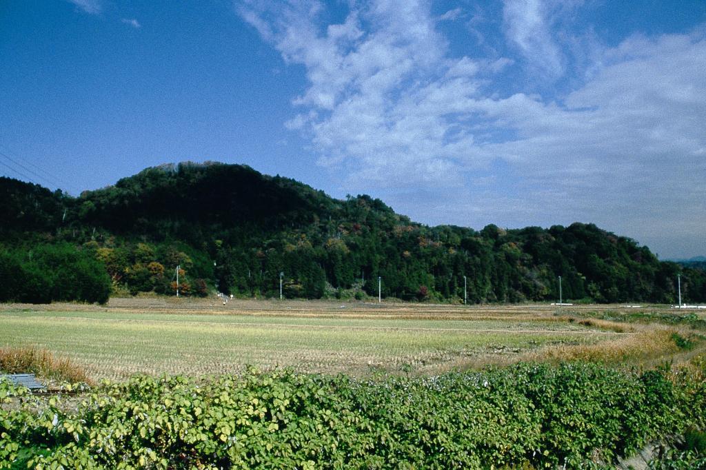 【受付終了】岡崎の始まり山中さんぽ！地質で知る山中城址と“口伝”山中八幡宮・鳩ヶ窟（岡さんぽ）