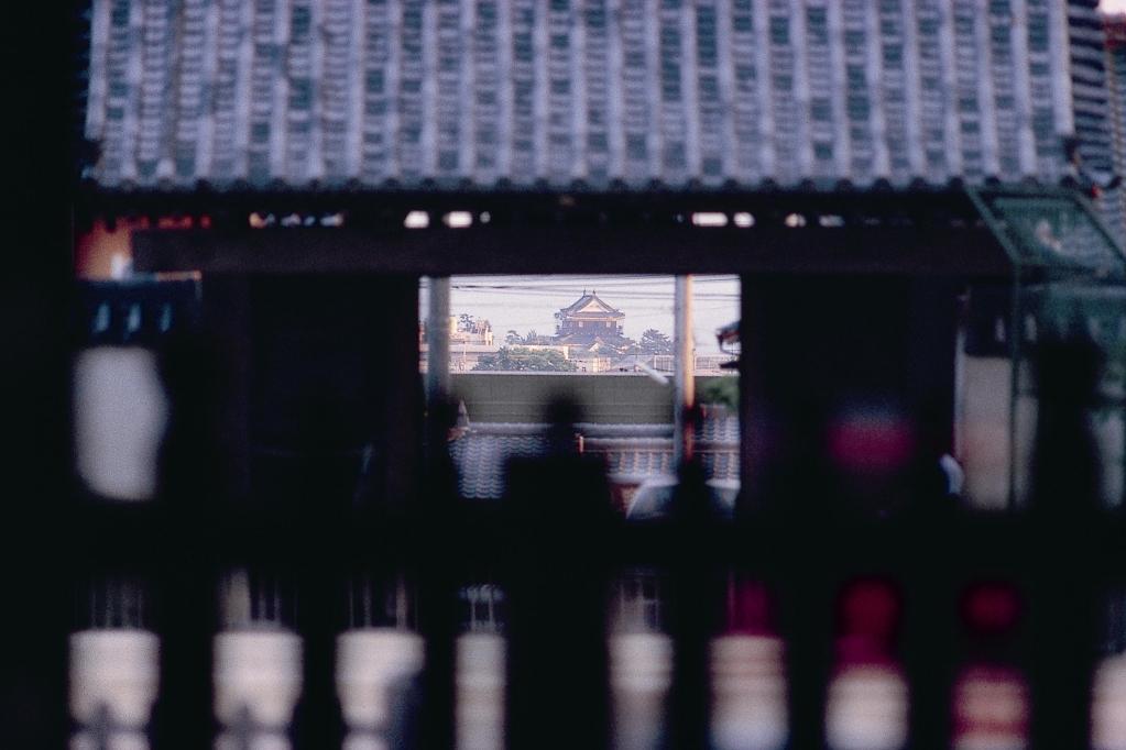 大樹寺からの岡崎城の眺望