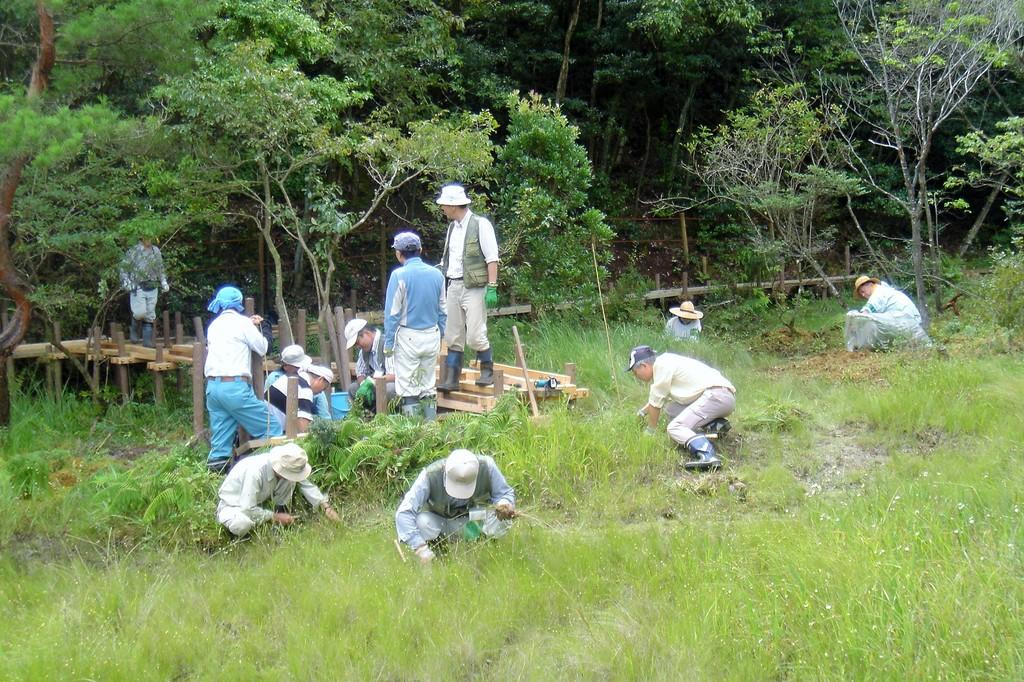 湿地内に観察台を設置