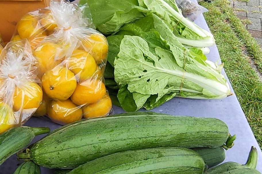 新鮮野菜を販売します