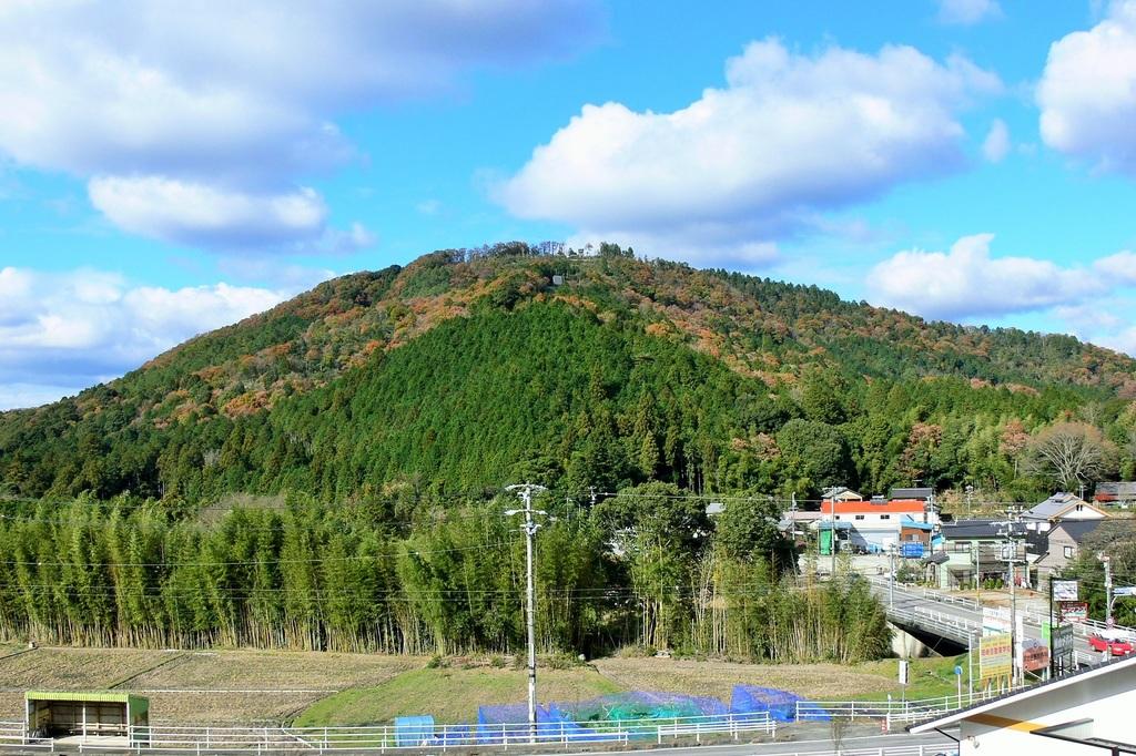 おおだ山　山頂