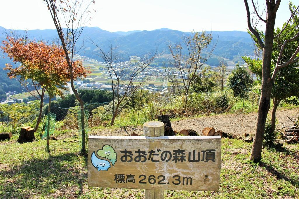 おおだ山　山頂