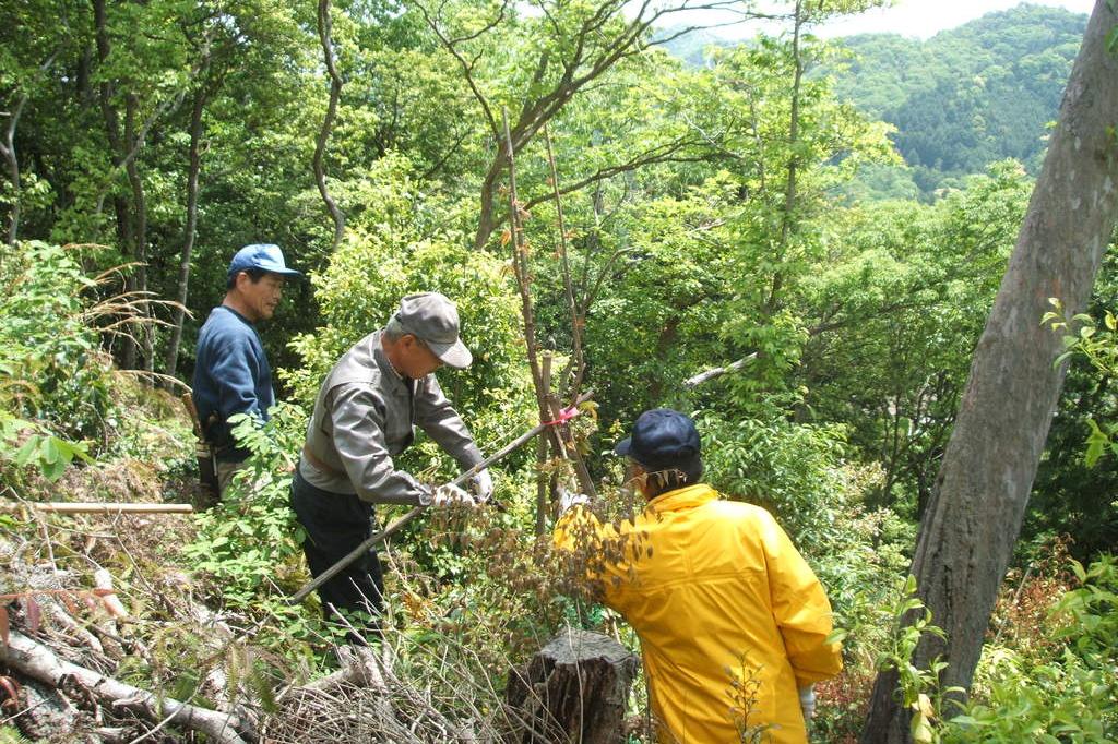 市民活動団体「山留舞会（やるまいかい）」の皆さんによる里山保全活動