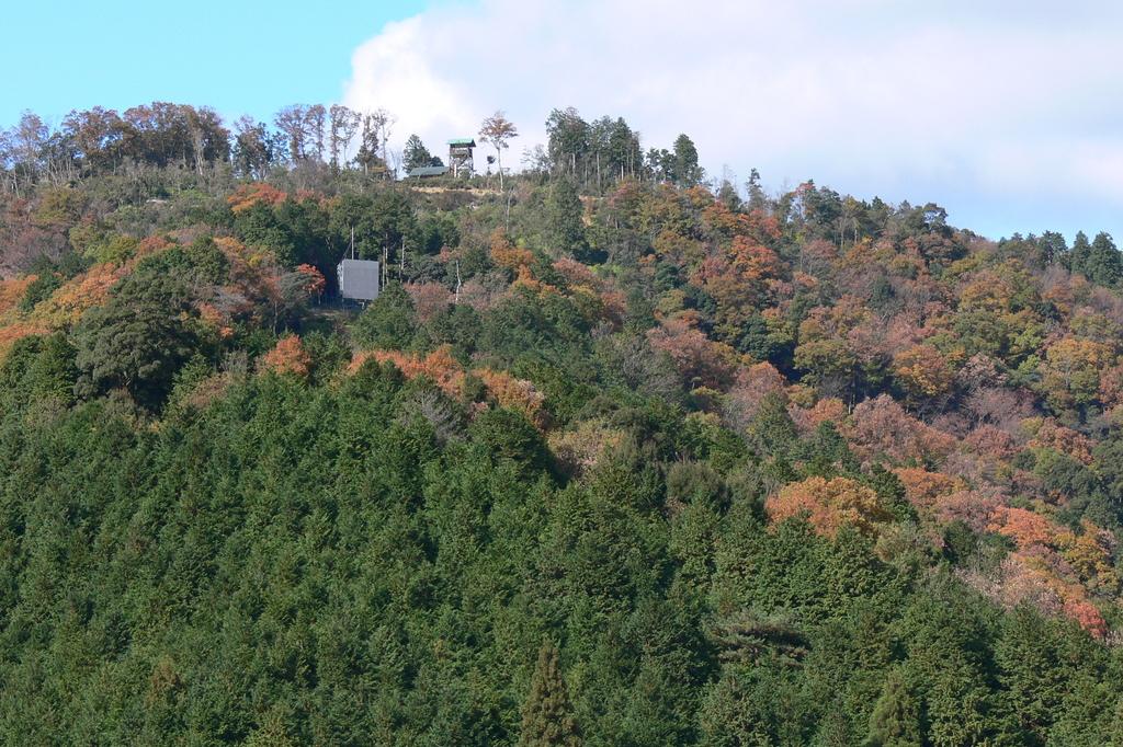 こちらは秋の様子（頂上に交流館・展望台が見えます）