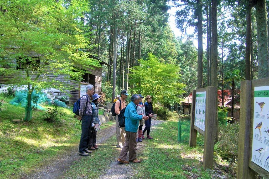 管理道・散策道が整備されていて、気軽にハイキングが楽しめます