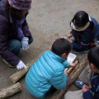椎茸の菌打ち体験／森のこだま（炭焼きの会）　※定員に達しました