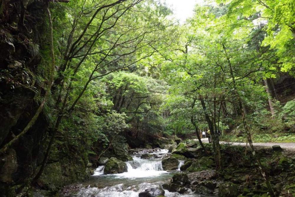 夏でも涼しい