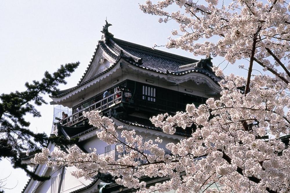 岡崎城公園イメージ