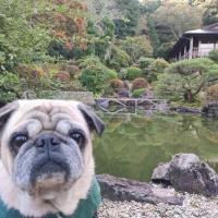 「ワンコと奥殿陣屋」写真展【春・秋開催】