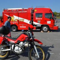 ファミリーフェスタIN中総