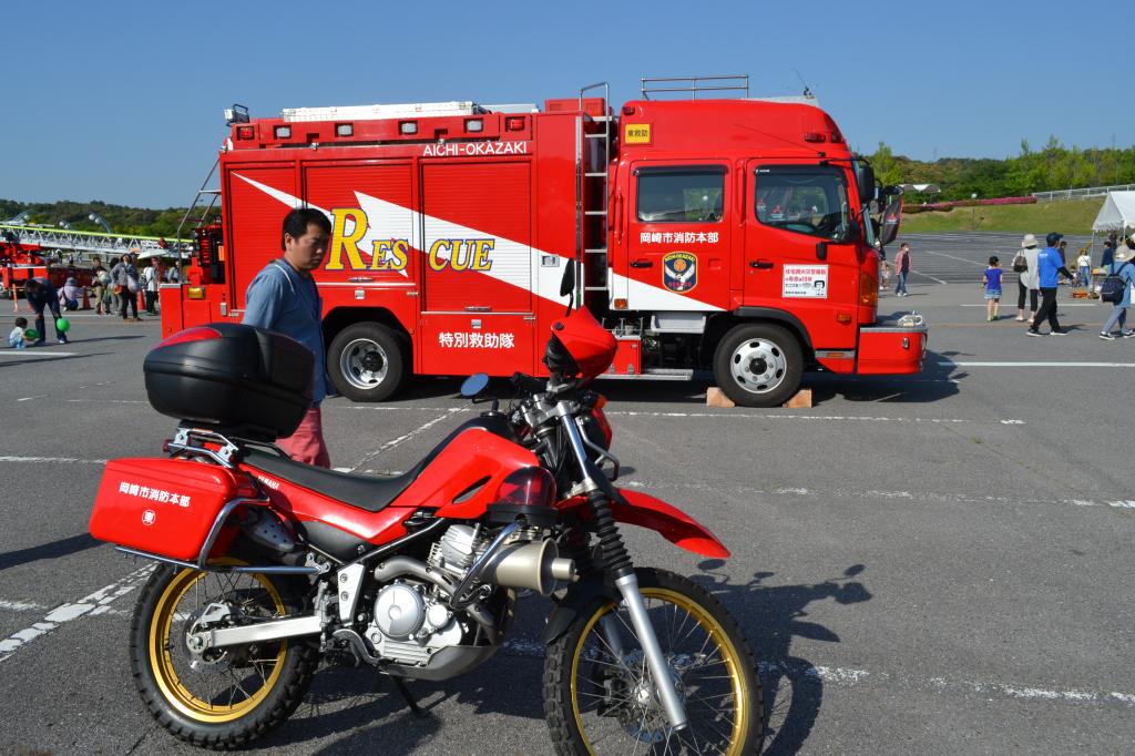 ファミリーフェスタIN中総