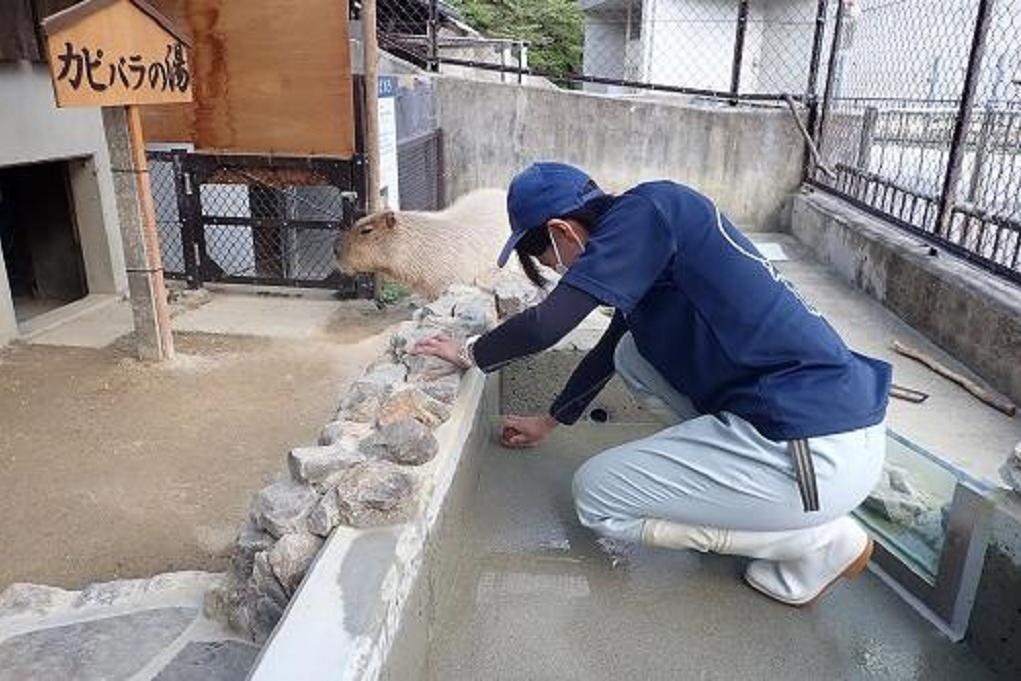飼育員におうちで挑戦 東公園動物園 イベント 岡崎おでかけナビ 岡崎市観光協会公式サイト