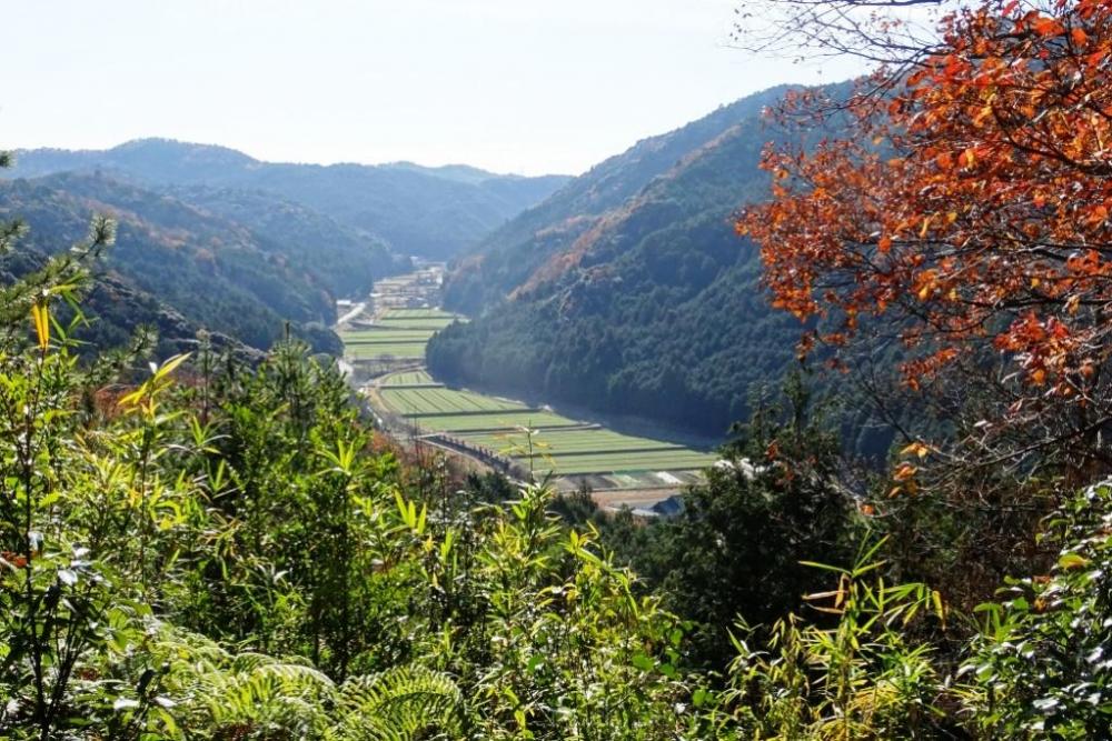 鳥川の風景。日本の原風景ですね。