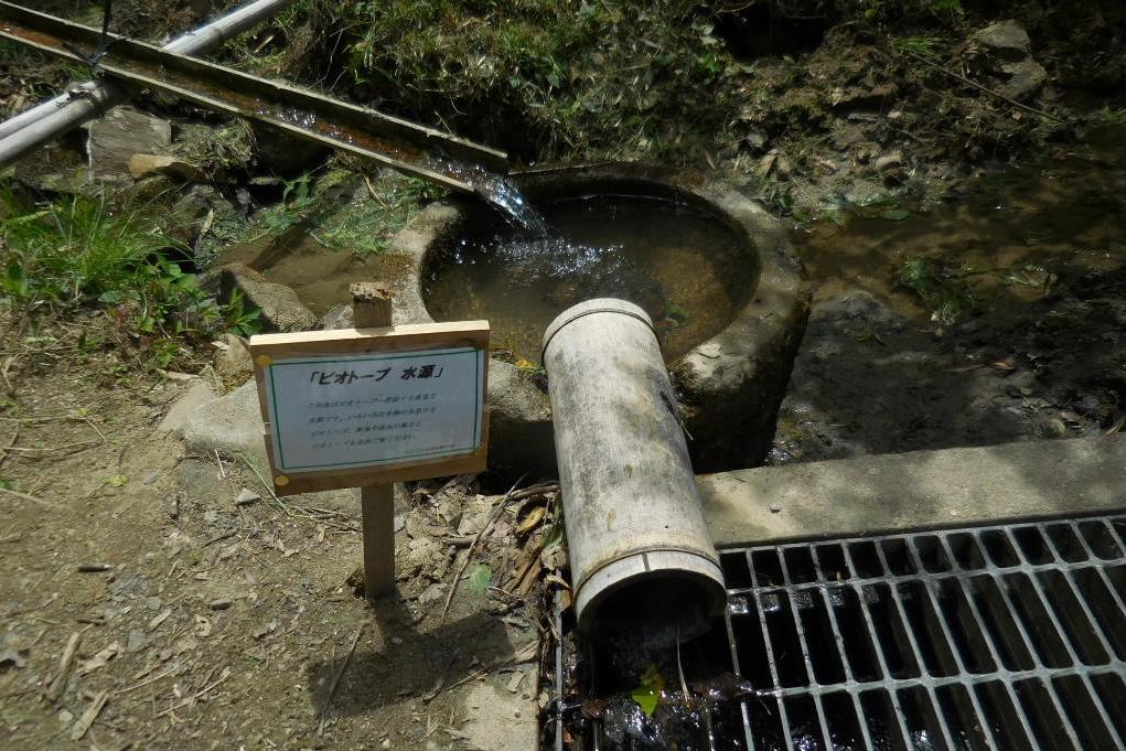 管理棟前のビオトープへの水源