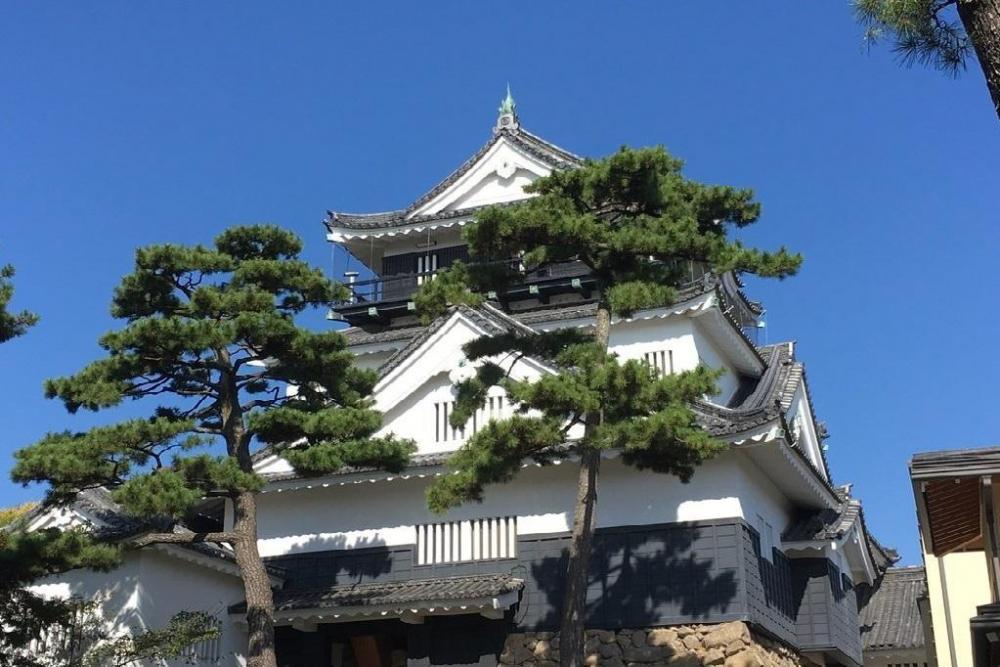 会場は、岡崎城公園内の花時計付近です。