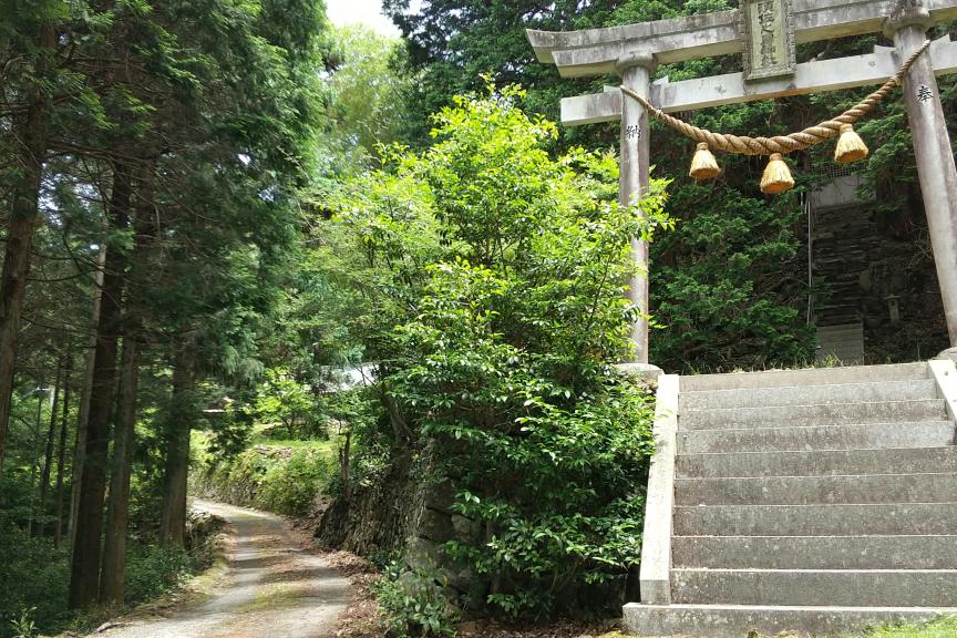 道はさらに細く電波も不安定になる残り500ｍ地点の「須佐之男神社」