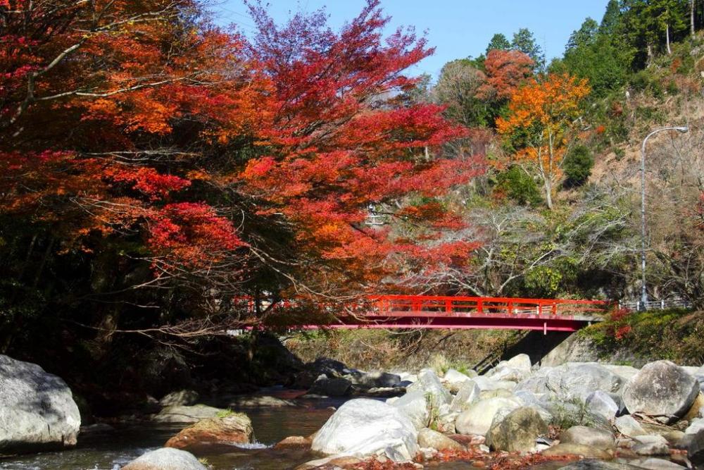 乙川（おとがわ）沿いの秋の紅葉は必見