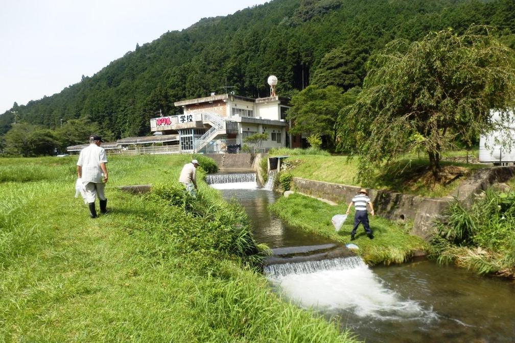 ホタルの川のクリーン大作戦