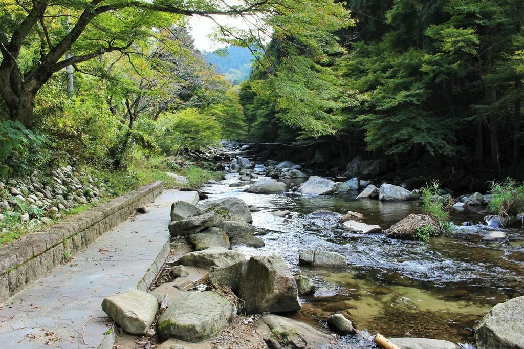 川沿いを散策することができる遊歩道