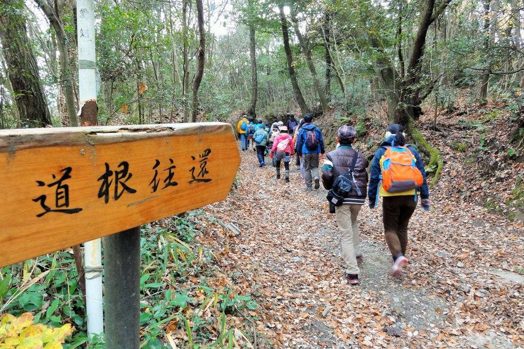 全長約10kmの「道根往還」は鎌倉時代から残る貴重な古道