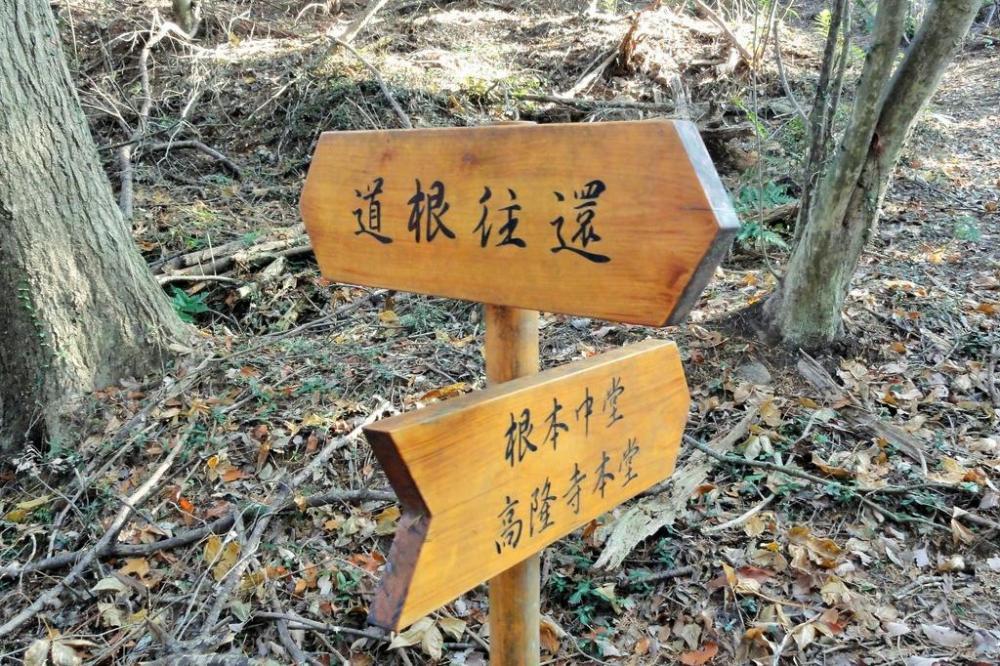 高隆寺（こうりゅうじ）の根本中堂跡が今も残っている