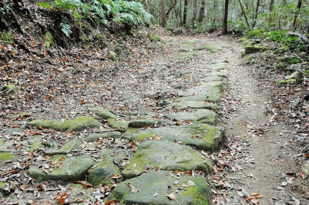 現存している石畳（設置された年代は謎）