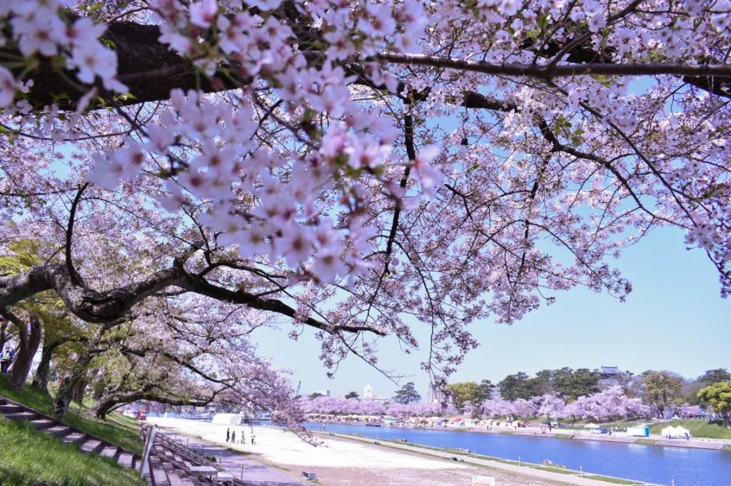 岡崎市公式Instagramキャンペーン「教えて！あなたの気になる岡崎」