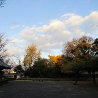 岡崎城公園探鳥会