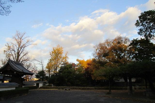 岡崎城公園探鳥会