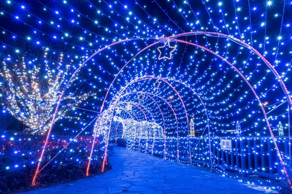 岡崎イエヤスコウイルミネーション関連イベント～プロカメラマンに学ぶイルミネーション撮影～