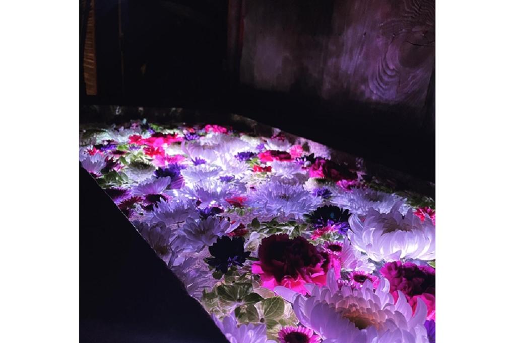 菅生神社「花手水」ライトアップ