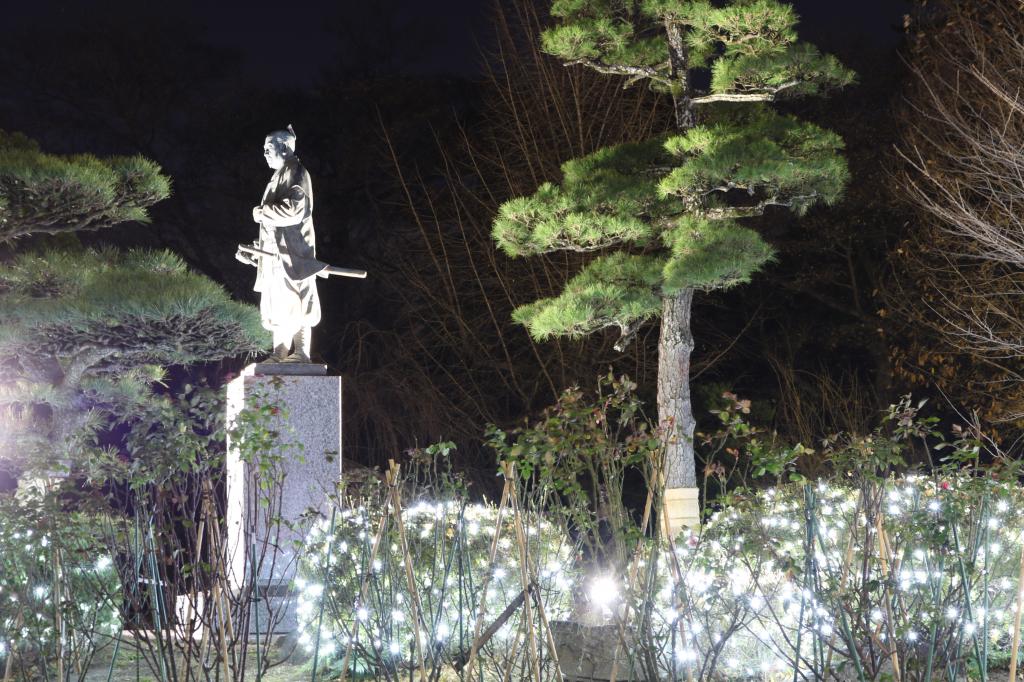 岡崎イエヤスコウイルミネーション