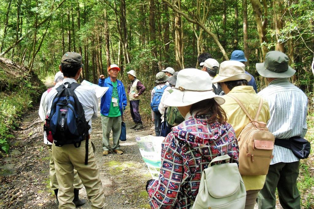 詳しい解説が聴けるのが観察会のいいところ