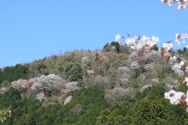 遠くからの眺めも良い感じ